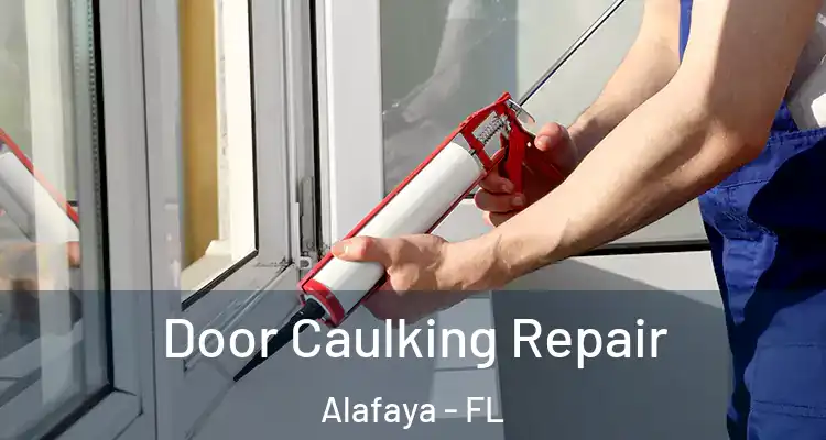  Door Caulking Repair Alafaya - FL