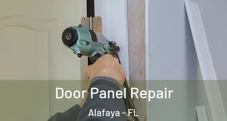  Door Panel Repair Alafaya - FL