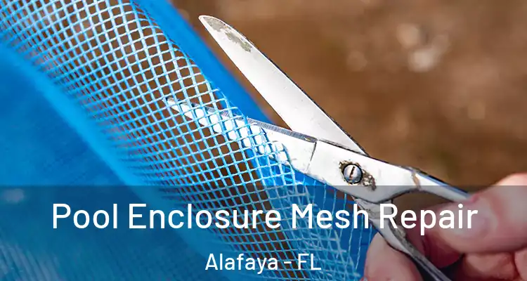  Pool Enclosure Mesh Repair Alafaya - FL